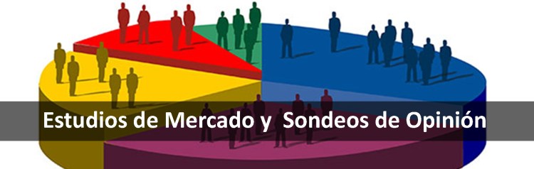 Formato de imagenes de portafolio.jpg